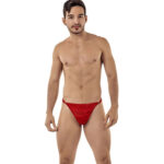 Thong Mens Lingerie for Men - Image 14