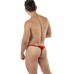 Thong Mens Lingerie for Men - Image 15