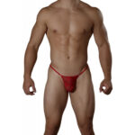 G String Mens Lingerie for Men - Image 6