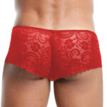 Boxer Mens Lingerie for Men - Image 8