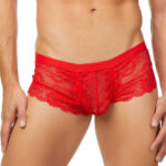 Boxer Mens Lingerie for Men - Image 17