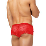 Boxer Mens Lingerie for Men - Image 19