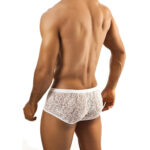 Boxer Mens Lingerie for Men - Image 15