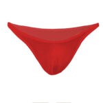 Thong Mens Lingerie for Men - Image 7
