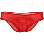 Brief Mens Lingerie for Men - Image 12