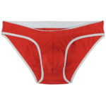Brief Mens Lingerie for Men - Image 17