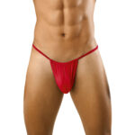 G String Mens Lingerie for Men - Image 24