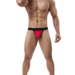 Bikini Mens Lingerie for Men - Image 18