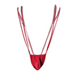 Monokini Mens Lingerie for Men - Image 21
