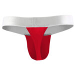 Thong Mens Lingerie for Men - Image 11
