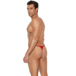 G String Mens Lingerie for Men - Image 15
